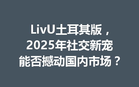 LivU土耳其版，2025年社交新宠能否撼动国内市场？ 一