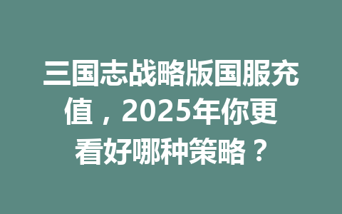 三国志战略版国服充值，2025年你更看好哪种策略？ 一