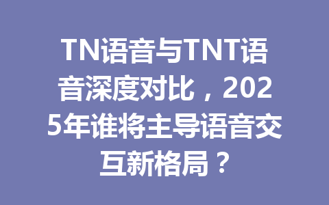 TN语音与TNT语音深度对比,2025年谁将主导语音交互新格局? 一