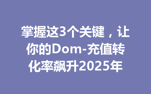 掌握这3个关键,让你的Dom-充值转化率飙升2025年 一