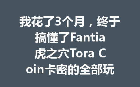 我花了3个月,终于搞懂了Fantia虎之穴Tora Coin卡密的全部玩法 一