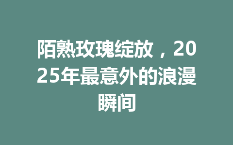 陌熟玫瑰绽放，2025年最意外的浪漫瞬间 一