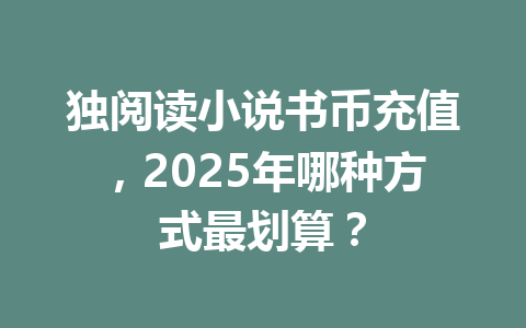 独阅读小说书币充值,2025年哪种方式最划算? 一