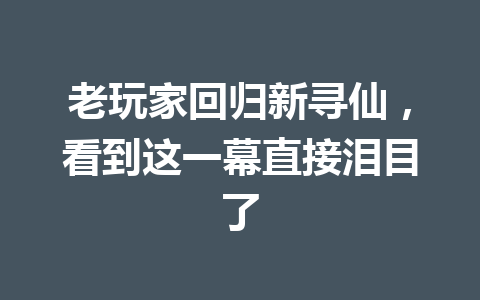 老玩家回归新寻仙，看到这一幕直接泪目了 一