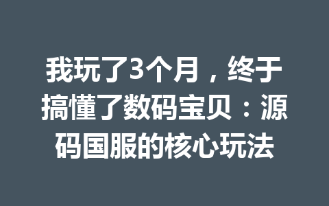 我玩了3个月,终于搞懂了数码宝贝:源码国服的核心玩法 一
