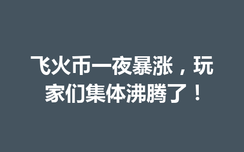 飞火币一夜暴涨，玩家们集体沸腾了！ 一