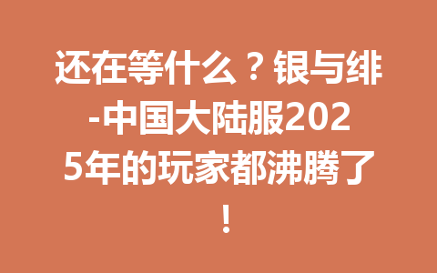 还在等什么？银与绯-中国大陆服2025年的玩家都沸腾了！ 一