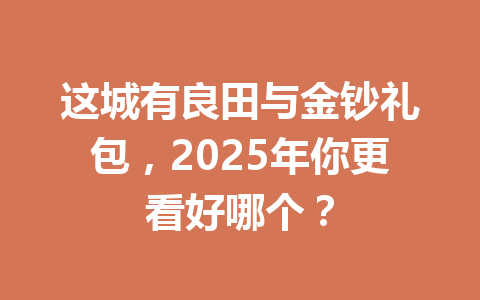 这城有良田与金钞礼包，2025年你更看好哪个？ 一