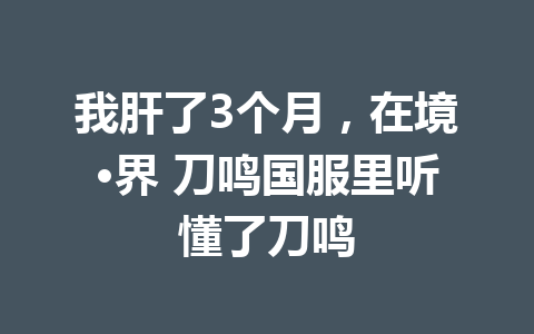 我肝了3个月,在境·界 刀鸣国服里听懂了刀鸣 一