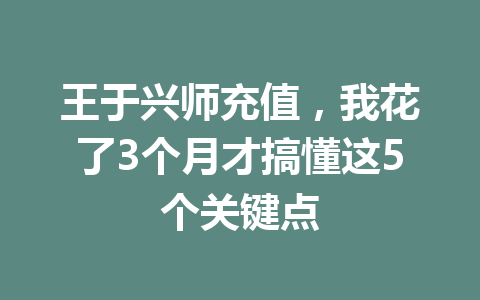王于兴师充值，我花了3个月才搞懂这5个关键点 一