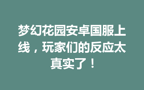 梦幻花园安卓国服上线,玩家们的反应太真实了! 一