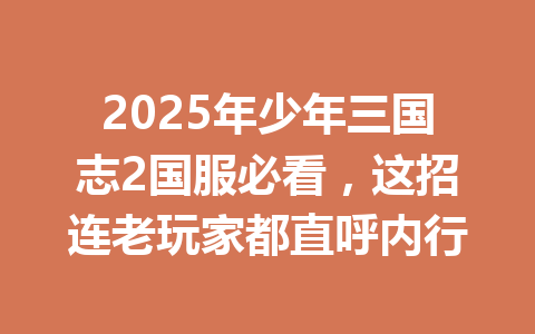 2025年少年三国志2国服必看，这招连老玩家都直呼内行 一